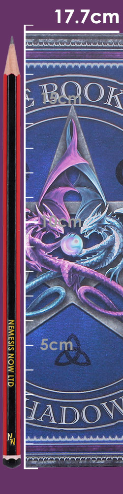 The Book of Shadows Journal (AS) 17cm