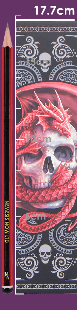 Skull Embrace Journal (AS) 17cm
