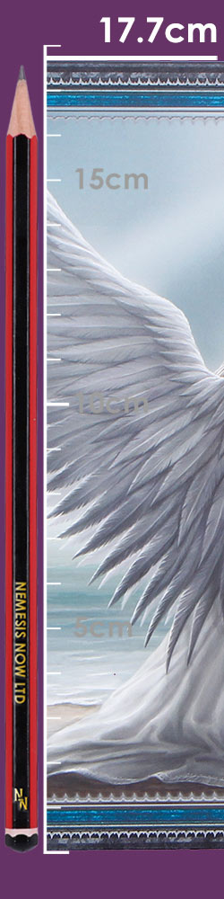 Spirit Guide Journal (AS) 17cm