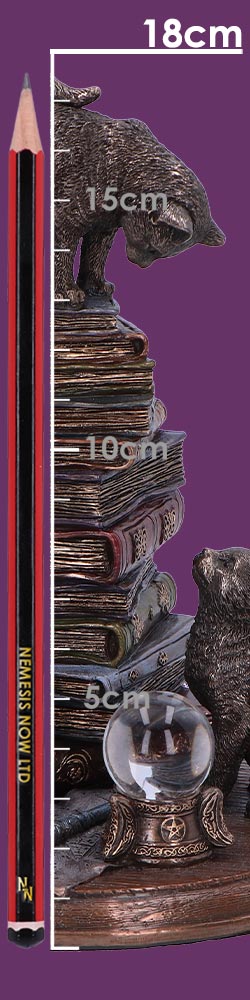 Feline Scholars 18cm Feline Scholars 18cm