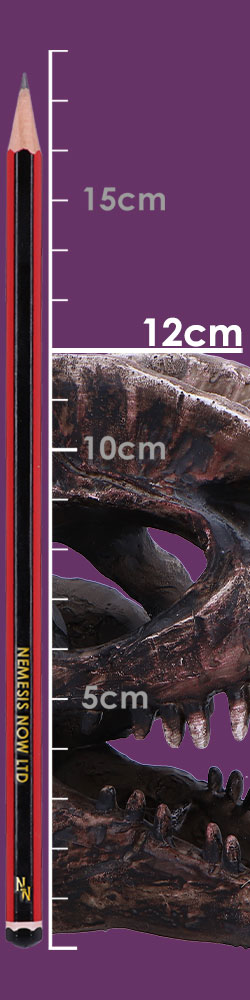 Dilophosaurus Skull 16cm