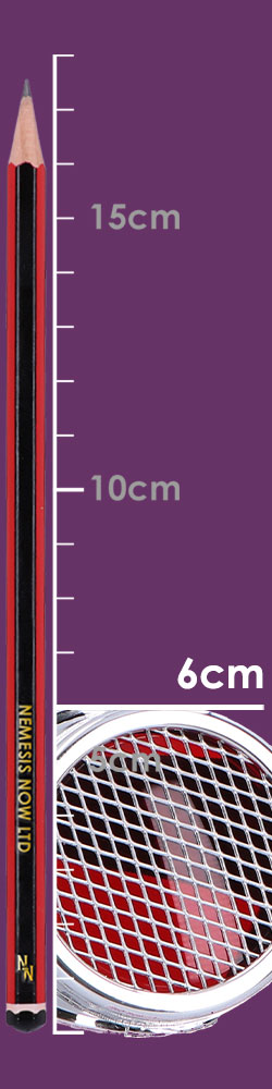 Mesh Vision (Pack of 6) 17cm Mesh Vision (Pack of 6) 17cm