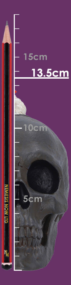Mind Blown 14.7cm Mind Blown 14.7cm