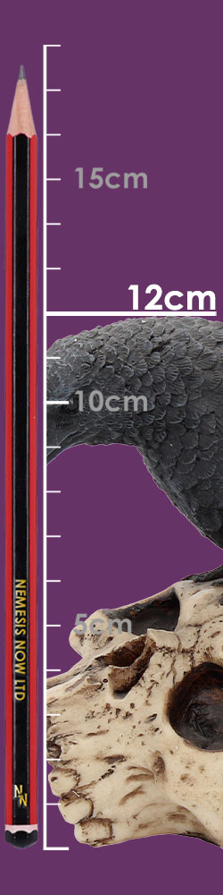 Ravens Remains 13cm