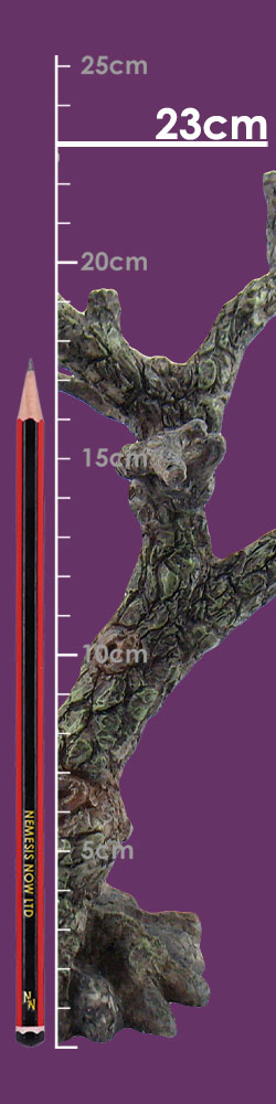 The Sacred Oak 25cm