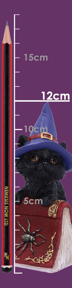 Hocus 12.7cm Hocus 12.7cm