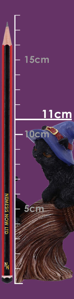 Purrfect Broomstick 27.5cm