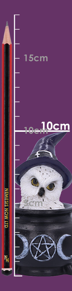 Owl's Brew 10cm