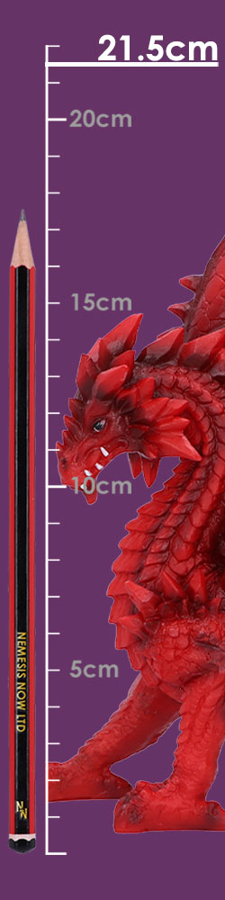 Tailong 21.5cm
