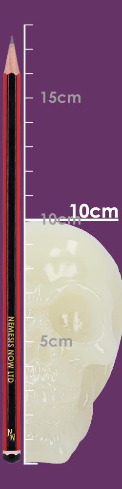 Phosphorescent (Medium) 13cm Phosphorescent (Medium) 13cm
