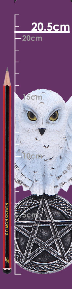 Owl Talisman 20.5cm Owl Talisman 20.5cm