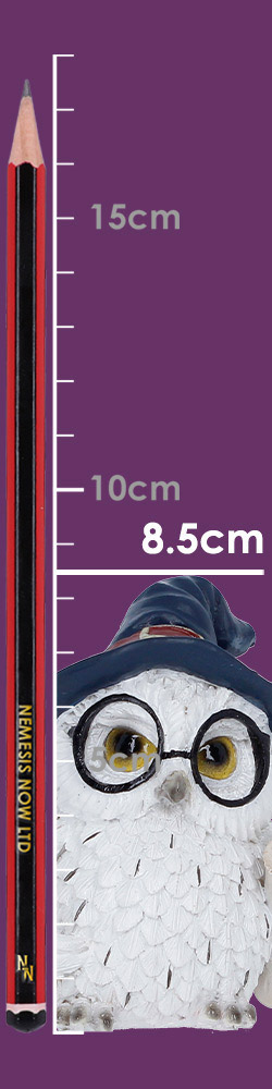 Archimedes 8.5cm