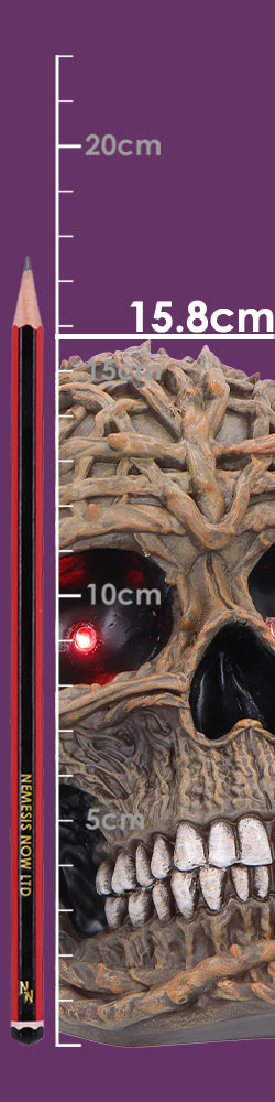 Rooted Remains Rooted Remains