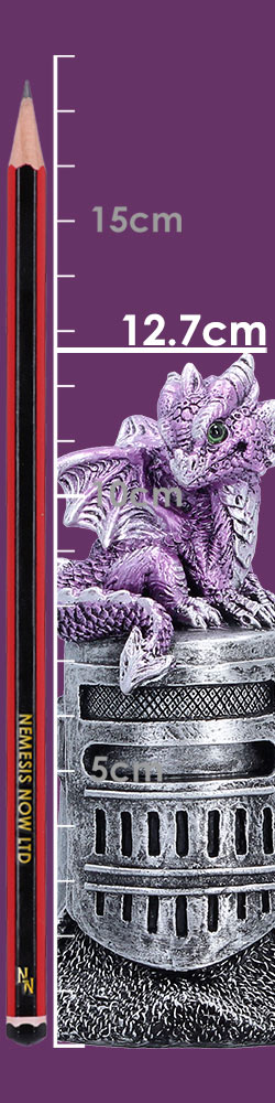 Hatchling Helm (Purple)