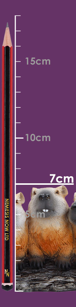 Capybara Herd