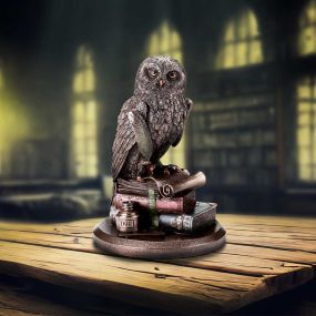 An Owl's Tale 14.5cm