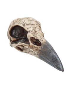 Edgar's Raven Skull 21cm Animal Skulls Back in Stock