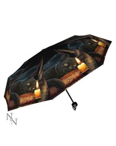 Witching Hour Umbrella (LP) Cats Gifts Under £100