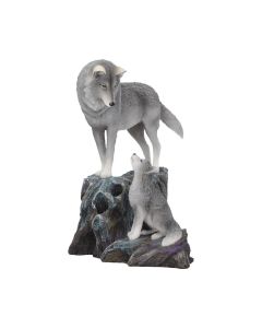 Guidance 25cm (LP) Wolves Popular Products - Light