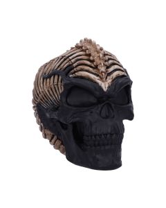 Spine Head Skull (JR) 18.5cm Skulls Gothic