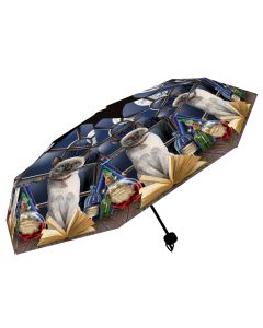 Hocus Pocus Umbrella (LP) Cats Gifts Under £100