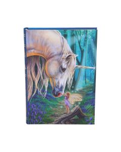 Fairy Whispers Journal (LP) 17cm Unicorns Unicorns (Artist)