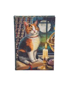 Adventure Awaits Journal (LP) 17cm Cats Gifts Under £100