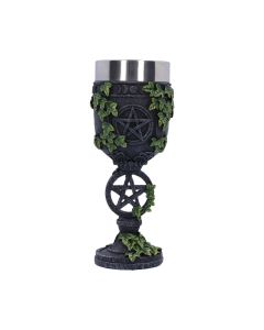 Aged Pentagram Goblet 19.5cm Witchcraft & Wiccan Summer Solstice