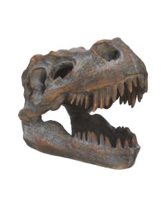Tyrannosaurus Rex Skull Freestanding 16cm Dinosaurs Stock Arrivals