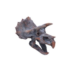 Triceratops Head 23cm Dinosaurs Wall Hanging Sculptures