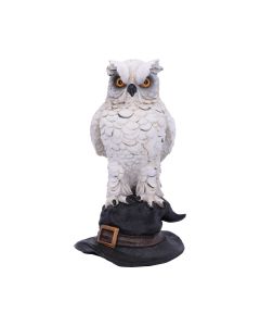 Soren 15.3cm Owls Premium Owls