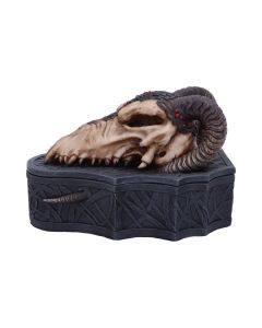 Dragon Skull Box (Monte Moore) 17.7cm Dragons Premium Dragon Boxes