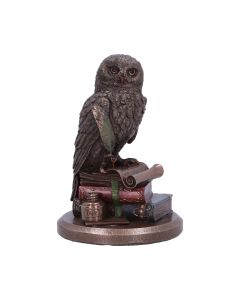 An Owl's Tale 14.5cm Owls Coming Soon