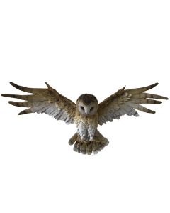 Wisdom Flight 54.5cm Owls Out Of Stock