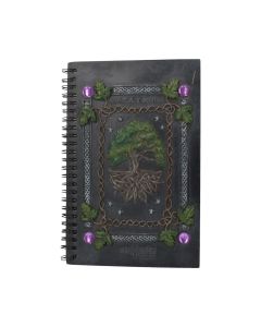 Dream Book (21cm) Witchcraft & Wiccan NN Designs