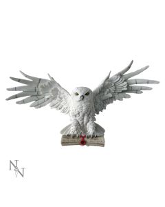 The Emissary 49cm Owls Popular Products - Light