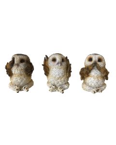 Three Wise Brown Owls 7.5cm Owls Gifts Under £100