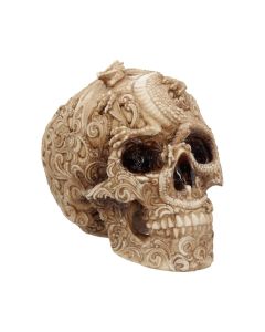 Cranial Drakos 19.5cm Skulls Roll Back Offer