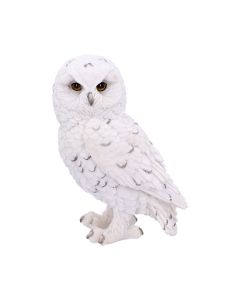 Snowy Watch Small 13.3cm Owls Gifts Under £100