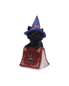 Hocus 12.7cm Cats Coven Keepers