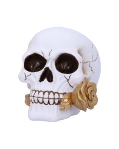 Floral Fate 17.5cm Skulls Gifts Under £100