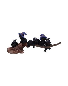 Purrfect Broomstick 27.5cm Cats Gifts Under £100