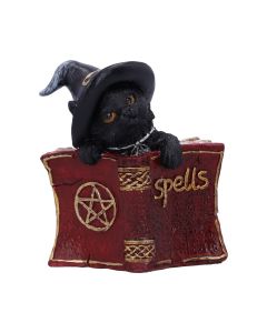 Kitty's Grimoire (Red) 8.2cm Cats Gifts Under £100