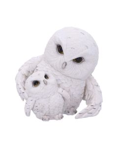 Feathered Guide 13.5cm Owls Gifts Under £100