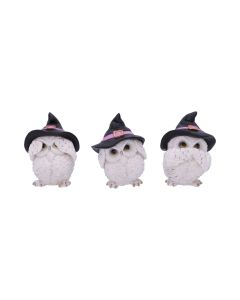 Three Wise Feathered Familiars 9cm Owls Owls