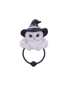 Snowy Magic Door Knocker 21cm Owls Sale Items