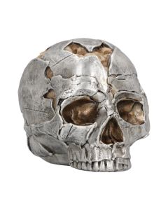 Fracture (Large) 16cm Skulls Skulls