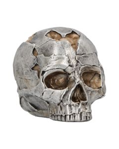 Fracture (Small) 11cm Skulls Skulls