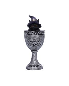 Coven Cup 15.7cm Cats New in Stock
