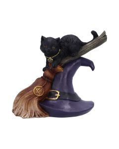 Bewitched 13.3cm Cats New Product Launch